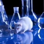 Research4life: la vivisezione è vietata, non parliamone più. Ma non possiamo fare a meno della sperimentazione sugli animali
