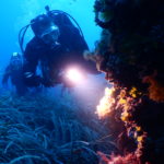 Un sogno diventa realtà: ok alle immersioni subacquee per chi soffre di diabete